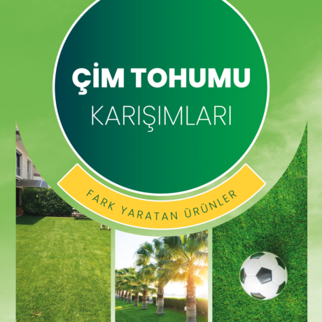 ÇİM-2
