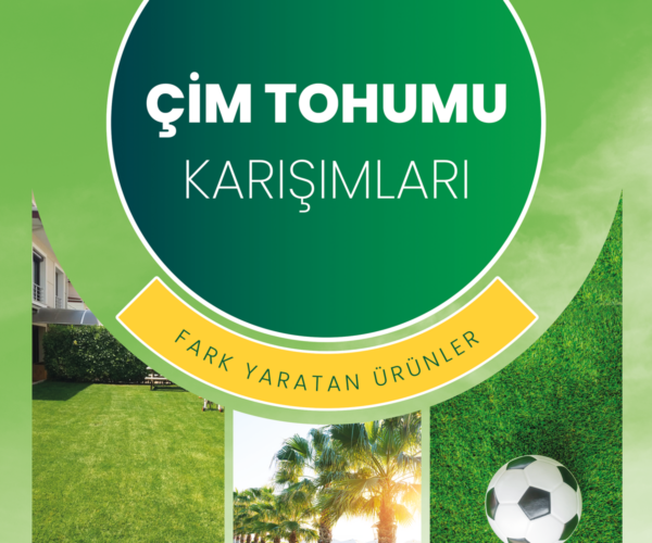 ÇİM-2