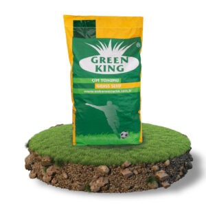 Green King 6M Favori