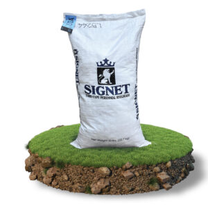 Lolium Perenne Signet