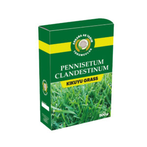 Pennisetum clandestinum (Kikuyu Grass)