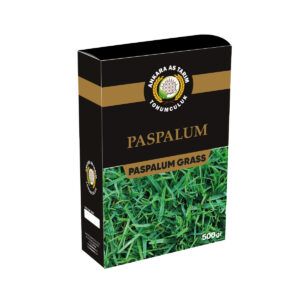Paspalum Grass