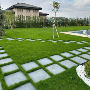 Green King 6M Favori | Ankara As Tarım Tohumculuk