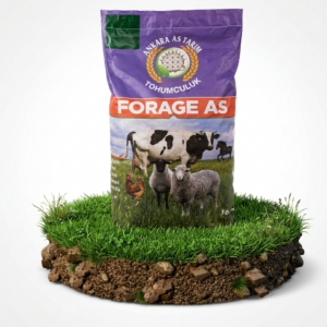 Forage As Mera Karışımı