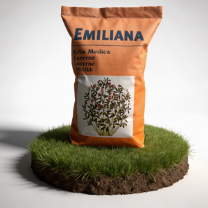 Emiliana Yonca Tohumu