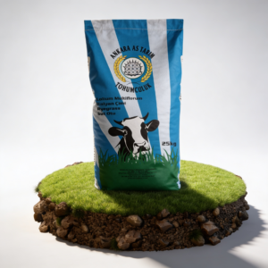İlkadım İtalyan Çimi (Ryegrass)