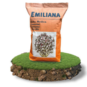 Emin Otu (Emiliana) Kaplı