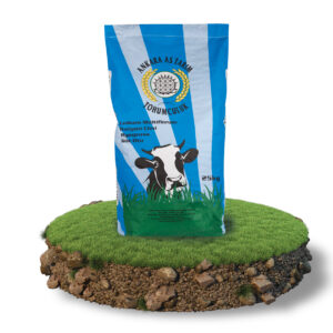 İlkadım İtalyan Çimi (Ryegrass)