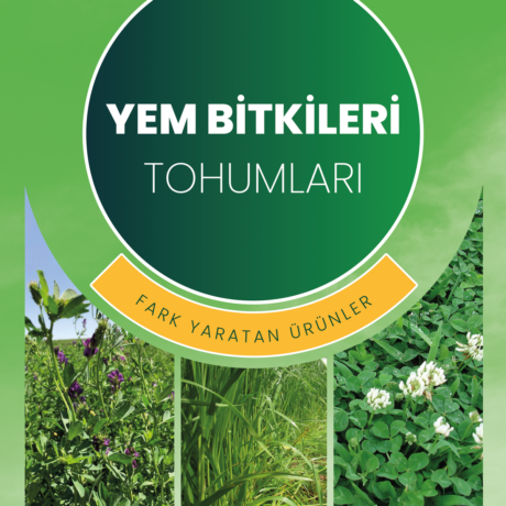 yem