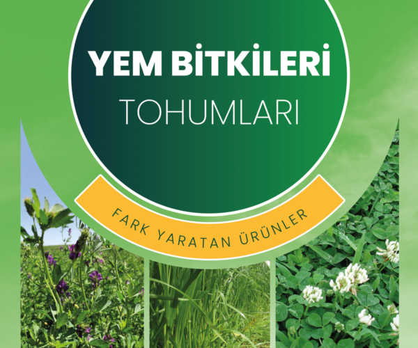 yem