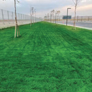 Green King 4M Anadolu | Ankara As Tarım